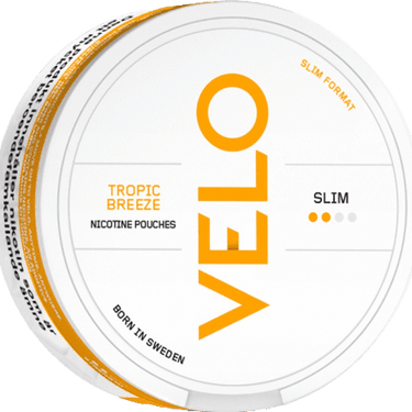 Velo mango best sale